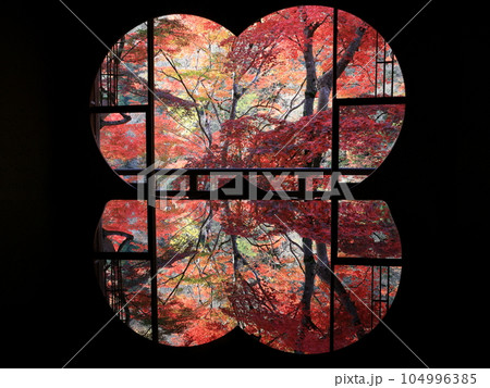 窓から映る紅葉 窓から映る紅葉 104996385