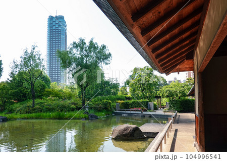 都心の緑　東京ミッドタウンと隣接した檜町公園 104996541
