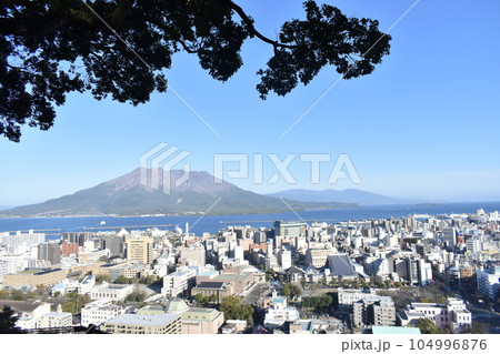 城山公園の展望台から見た桜島 104996876