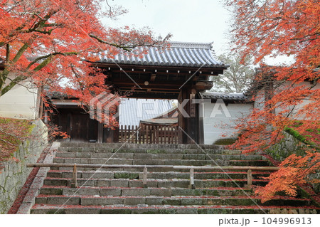 紅葉と山門 104996913