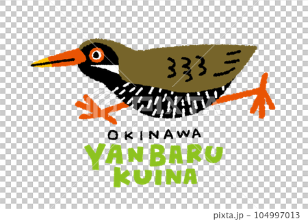 走るヤンバルクイナの手描きイラスト 104997013