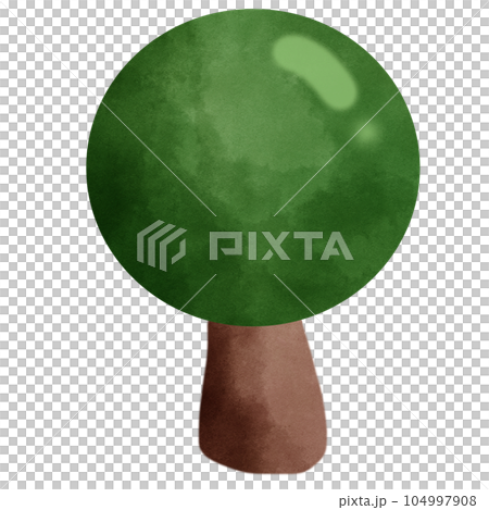 Tree Tree 104997908