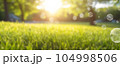 Beautiful blurred background of a green park at dawn. 104998506