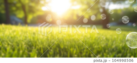 Beautiful blurred background of a green park at dawn. Beautiful blurred background of a green park at dawn. 104998506
