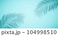 Shadow from palm leaves on a turquoise background. 104998510
