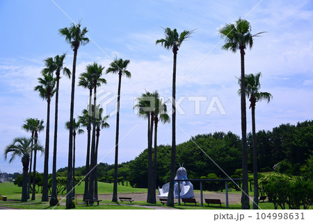 広々とした辻堂海浜公園 104998631