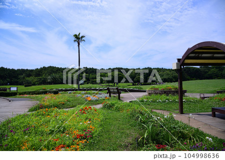 広々とした辻堂海浜公園 広々とした辻堂海浜公園 104998636