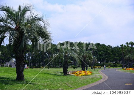広々とした辻堂海浜公園 広々とした辻堂海浜公園 104998637