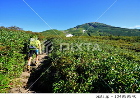 鳥海山の八丁坂を登る登山者 104999940