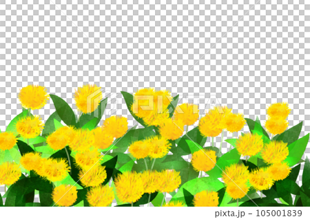 Safflower flower card 1 105001839