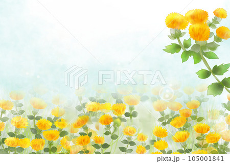 紅花の花のカード3 105001841