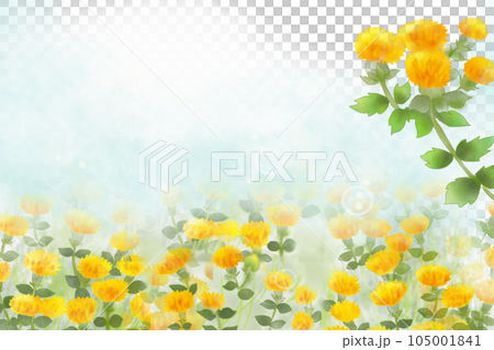 紅花の花のカード3 105001841