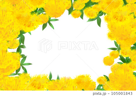 紅花の花のカード5 105001843