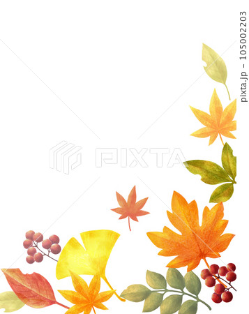 秋の紅葉の色鉛筆画フレーム素材　縦長 105002203