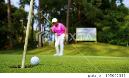 Golfer action to win after long putting golf ball in to the hole. 105002351