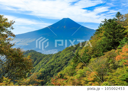 紅葉の三つ峠山頂からの富士山眺望 山梨県河口湖町 紅葉の三つ峠山頂からの富士山眺望 山梨県河口湖町 105002453