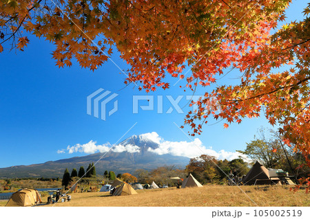 秋のキャンプ場のイメージ 富士山と田貫湖キャンプ場の紅葉 秋のキャンプ場のイメージ 富士山と田貫湖キャンプ場の紅葉 105002519