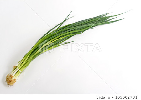 小ねぎ 小ねぎ 105002781