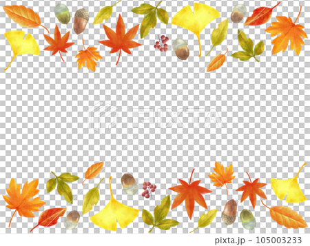 秋の紅葉の色鉛筆画フレーム素材　横長 105003233