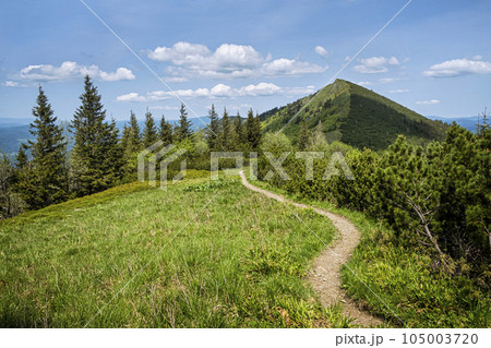 Mountain scenery, Little Fatra, Slovakia Mountain scenery, Little Fatra, Slovakia 105003720