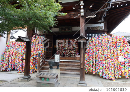 金剛寺(八坂庚申堂)の境内とカラフルなくくり猿の風景 金剛寺(八坂庚申堂)の境内とカラフルなくくり猿の風景 105003839