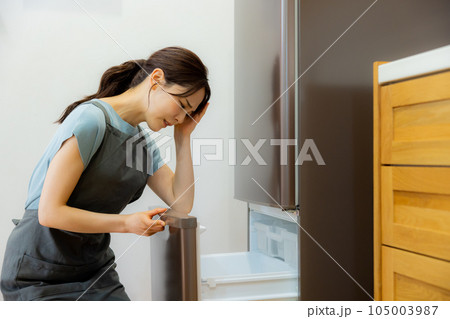 キッチンの女性 冷蔵庫 キッチンの女性 冷蔵庫 105003987