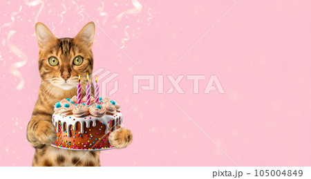 Ginger cat with a birthday cake and candles on a festive background. Ginger cat with a birthday cake and candles on a festive background. 105004849