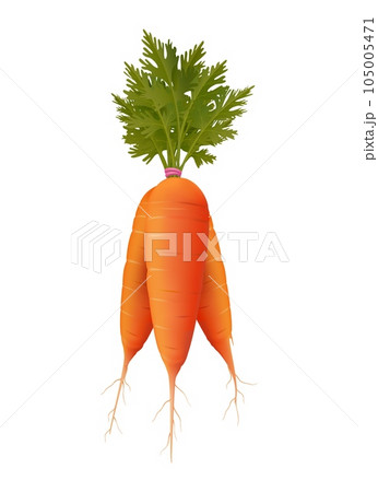 Fresh carrot bunch 3d image 105005471