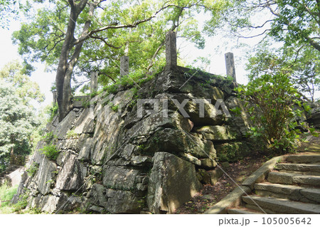 新緑の徳島城の石垣（帳櫓跡） 105005642