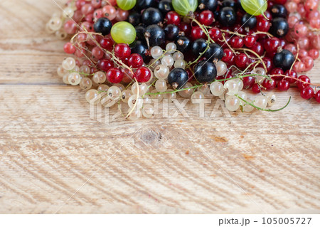 Vitamins. Summer berries. Mix of ripe organic Red, black, rose currant and gooseberry background. Close up, selective focus. Harvest Concept Copy space 105005727