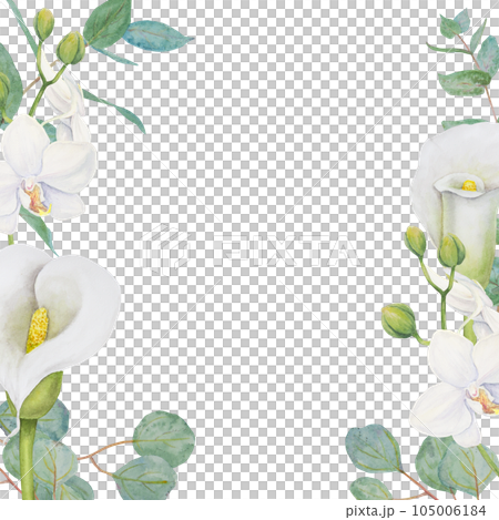 Watercolor frame of white calla lily, orchid flowers and eucalipt. Hand drawn floral illustration for wedding invitations, floristic, beauty salon. Isolated tropical water arum for greeting 105006184