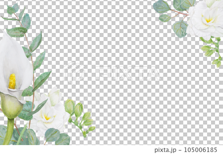 Watercolor frame of white calla lily, freesia flowers and eucalipt. Hand drawn floral illustration for wedding invitations, floristic, beauty salon. Isolated tropical water arum for greeting 105006185