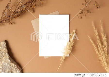 Blank greeting card, invitation mockup. Dry grass, pampas plant on beige table background. Flat lay, top view. Copyspace. Paper cards, mock up. Modern Minimal business brand template. Soft shadow. A6 105007252
