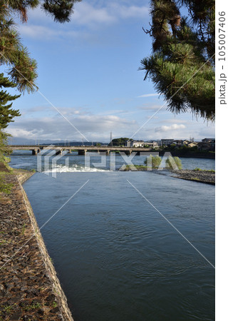 橘橋から見た宇治川と宇治橋 105007406