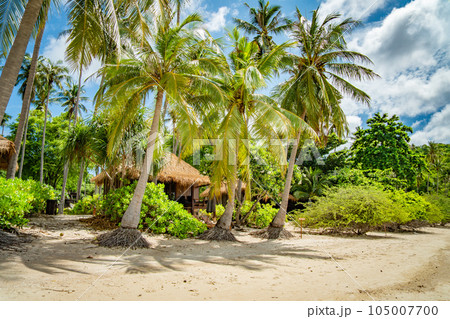 View of Haad Tien Beach resort in shark bay, koh Tao, Thailand 105007700