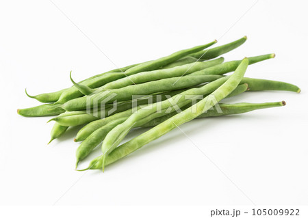 インゲン豆 白バック インゲン豆 白バック 105009922