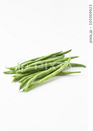 いんげん豆 白背景 いんげん豆 白背景 105009923