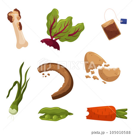 Organic Waste Set, Decomposable Materials, Bone, Beetroot Leaves, Teabag, Bread, Egg Shell, Vegetable Food Scraps 105010588