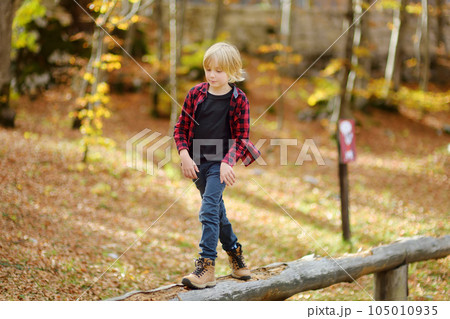 Cheerful child during hike in the forest on a sunny autumn day. Preteen boy is having fun while walking through the autumn forest. Active leisure time on nature. 105010935