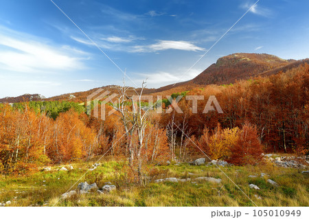 A picturesque landscape of a mountain valley in Lovchen National Park, Montenegro on autumn day A picturesque landscape of a mountain valley in Lovchen National Park, Montenegro on autumn day 105010949