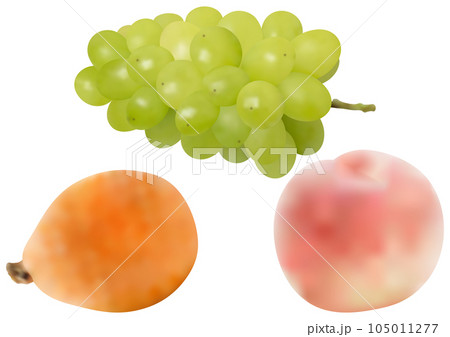 夏フルーツ3種 「ビワの実」「桃」「ブドウ」シャインマスカット 105011277