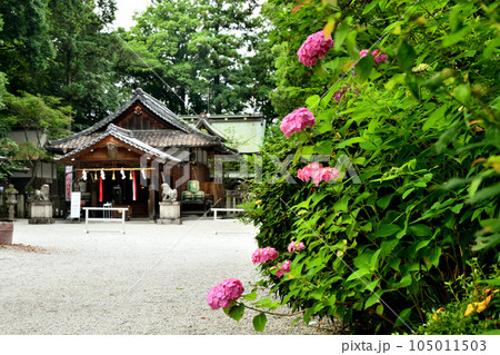 鴨都波神社(拝殿)　  【奈良県御所市】 105011503