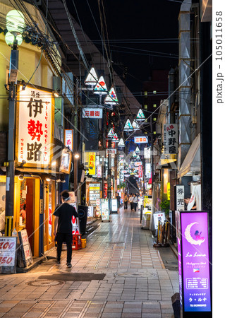 《東京都》ノスタルジックな飲み屋街・中野駅前 105011658