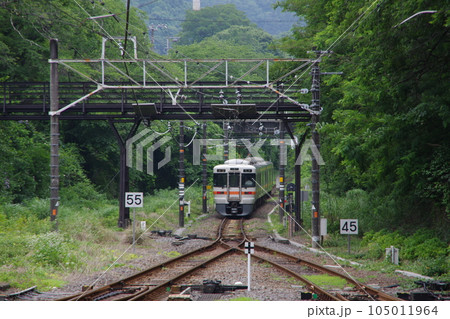 普通沼津行 313系 御殿場線 山北緑のトンネルを行く 普通沼津行 313系 御殿場線 山北緑のトンネルを行く 105011964