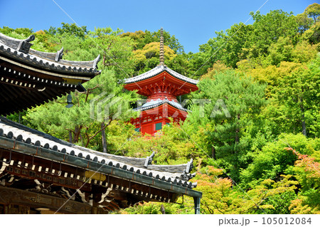 今熊野観音寺(医聖堂) 【京都府京都市東山区】 今熊野観音寺(医聖堂) 【京都府京都市東山区】 105012084