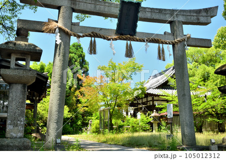 新熊野神社(鳥居・本殿)　【京都市東山区】 105012312