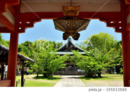 新日吉神宮(楼門から見た神楽殿) 【京都府京都市東山区】 新日吉神宮(楼門から見た神楽殿) 【京都府京都市東山区】 105013080