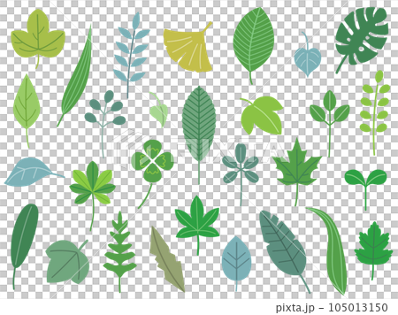 クローバーや銀杏などのナチュラルな葉っぱのイラストのセット 105013150