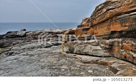 【動画あり】千畳敷(和歌山県西牟婁郡白浜町) 【動画あり】千畳敷(和歌山県西牟婁郡白浜町) 105013273