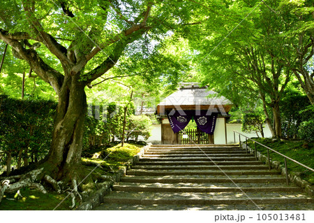 住蓮山安楽寺　【京都府京都市左京区】 105013481